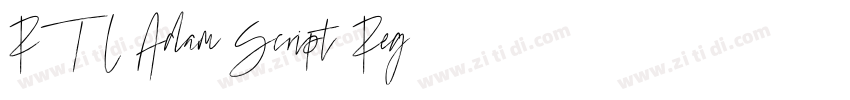 RTL Adam Script Reg字体转换